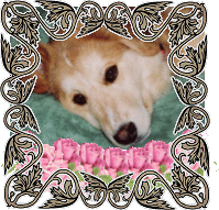 http://gigietcram.net/gifsdossier/chien/chien136.gif
